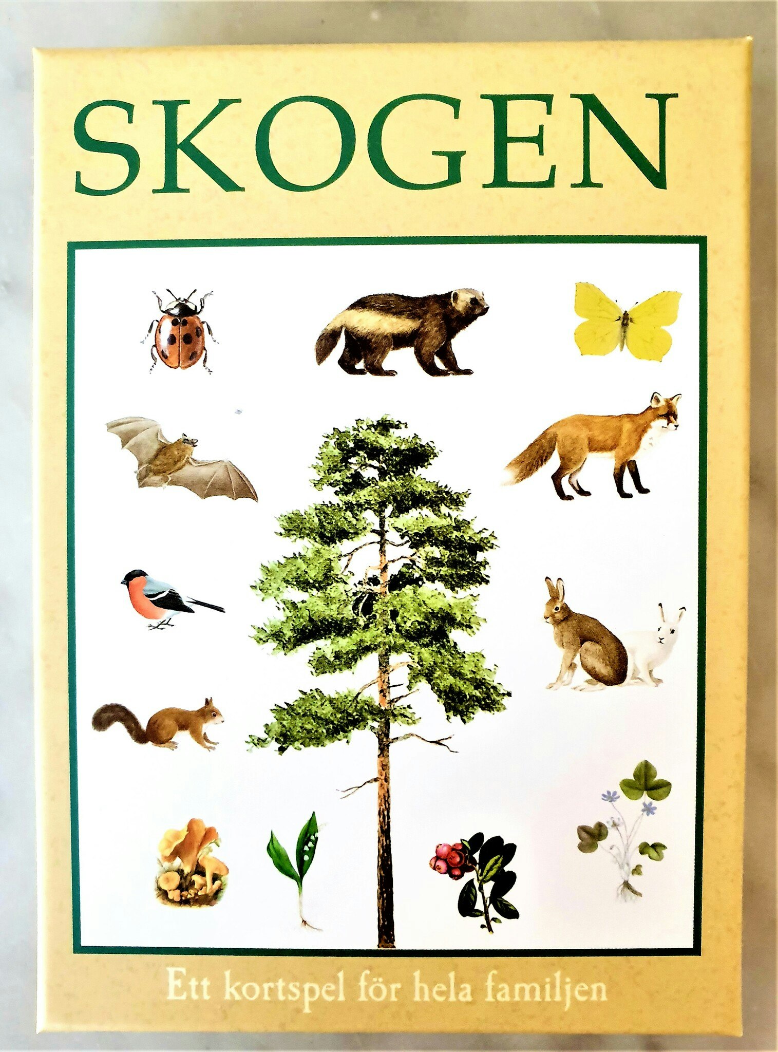 Skogen - kortspel