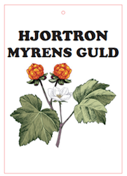 HJORTRON VYKORT/GIFTTAG