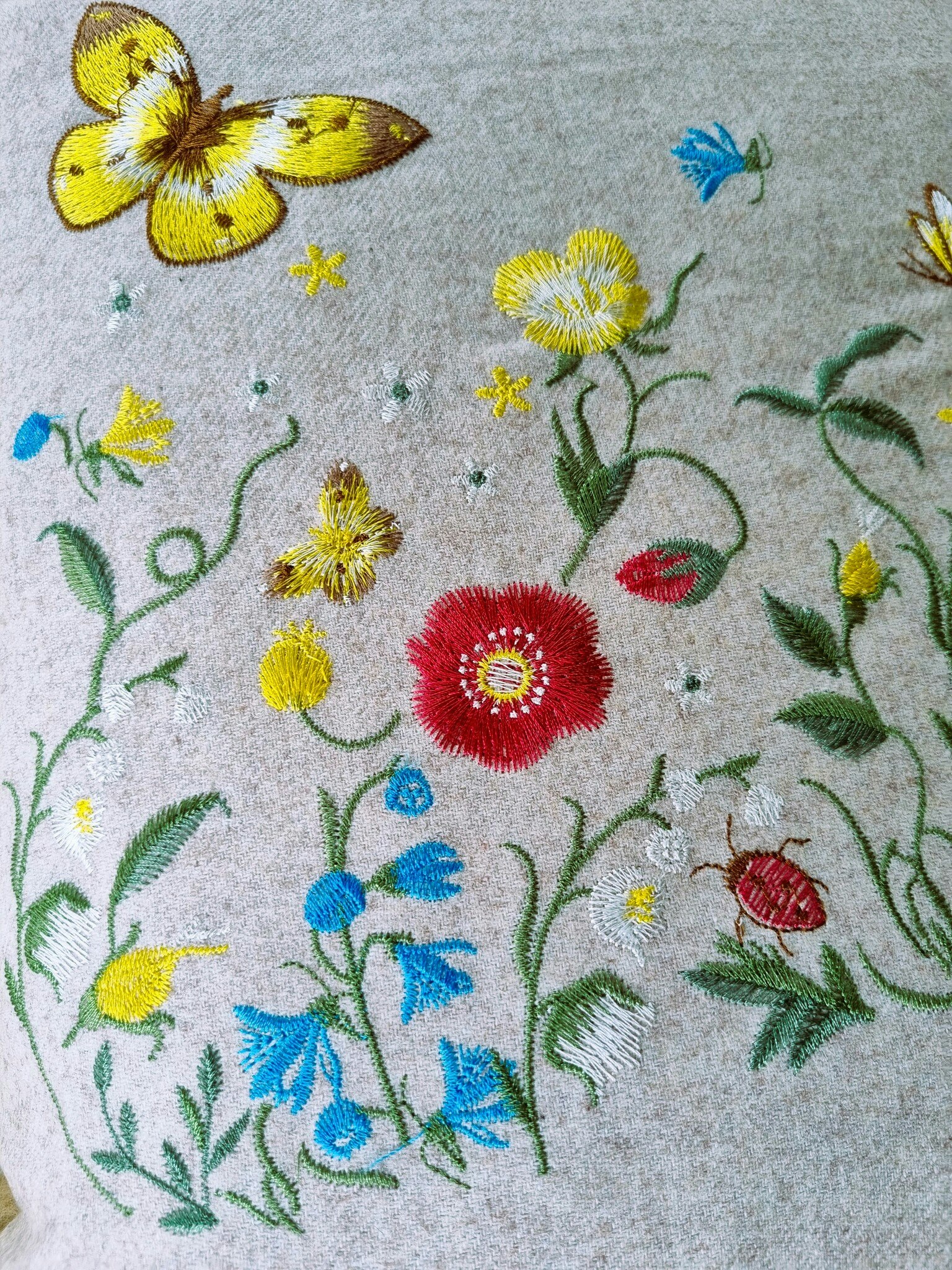 Fjärilar och vildblommor