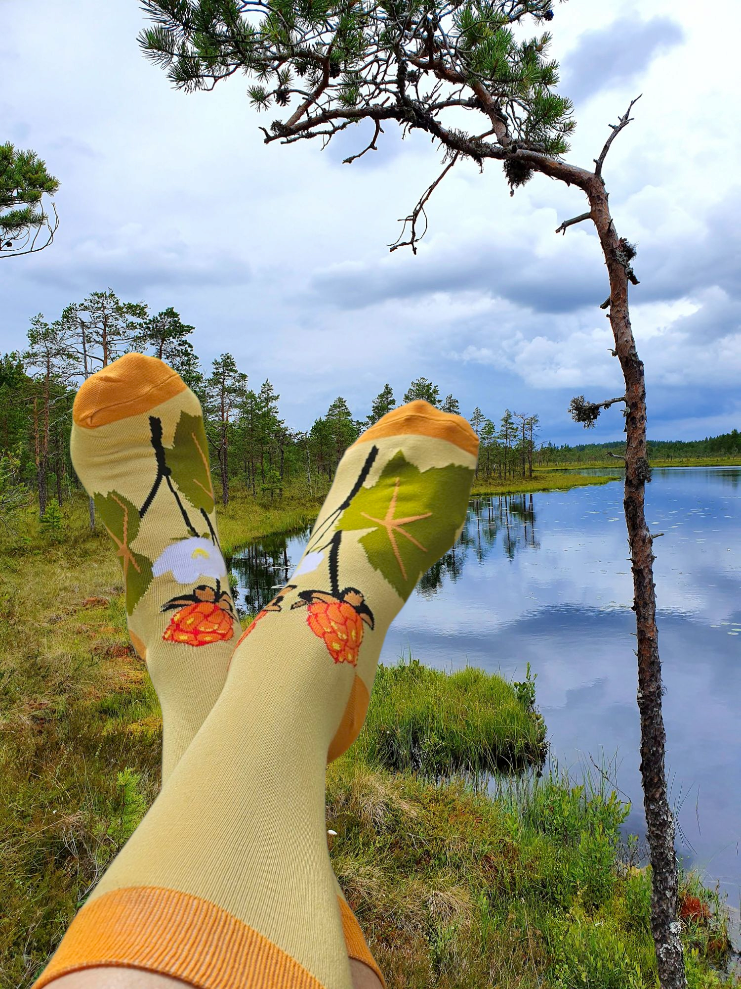HJORTRON - BAMBUSTRUMPOR