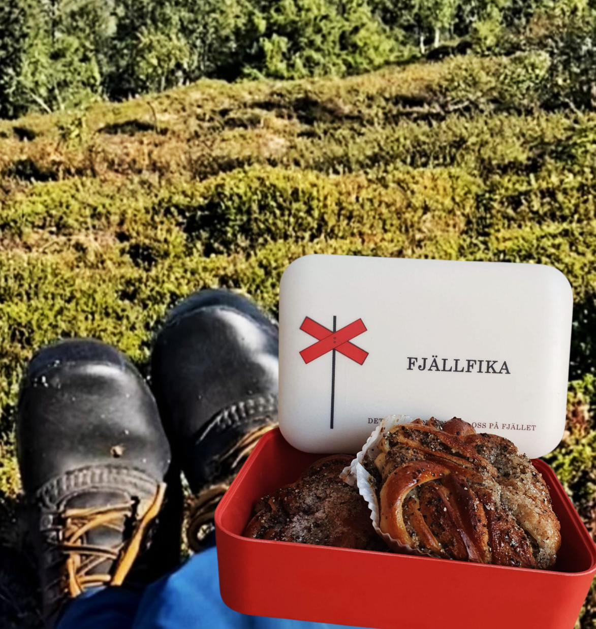 Matlåda - Fjällfika