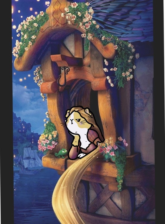 Poster, Arga Hamstern som Rapunzel