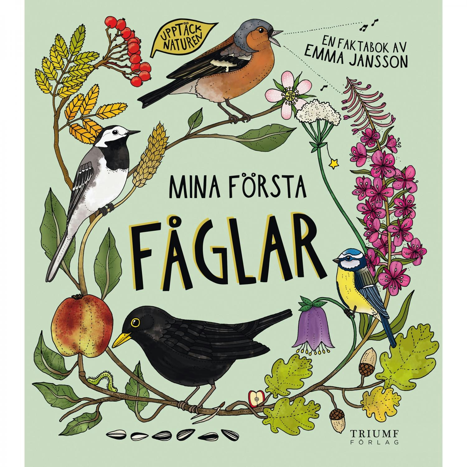 BARNBOK: Mina första fåglar (3-6 år)