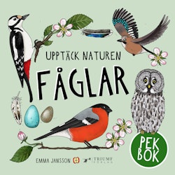 PEKBOK: Upptäck naturen Fåglar