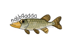 MUGG: Näbbgädda