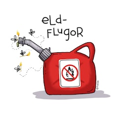 MUGG: Eldflugor (Den Alternativa Djurparken)