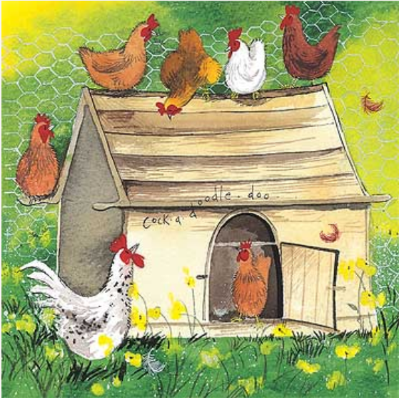 Alex Clark Kort / Chicken Coop