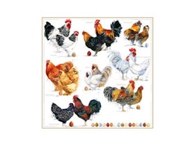 Servetter / Hens & Chickens