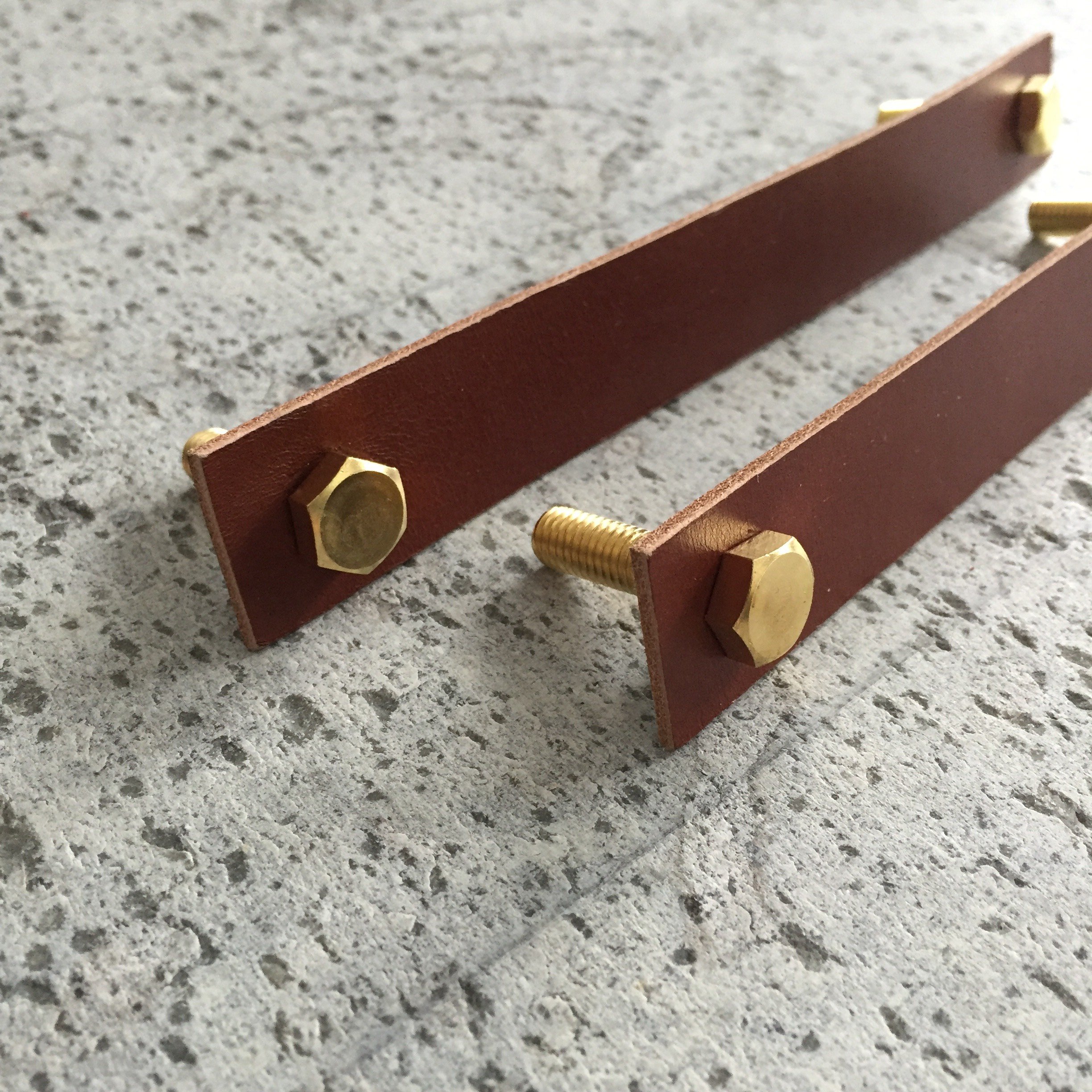 Leather & Brass Handles