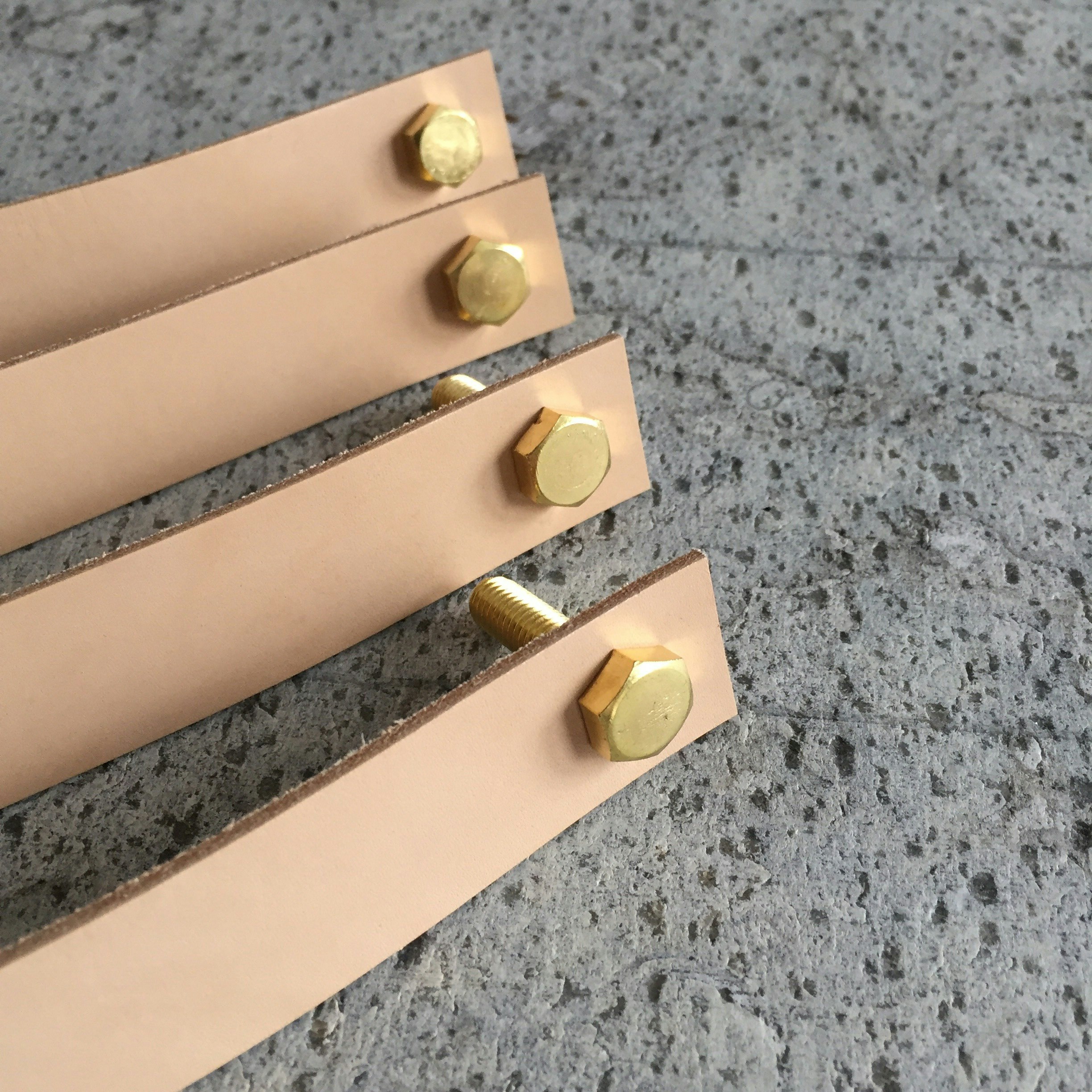 Leather & Brass Handles