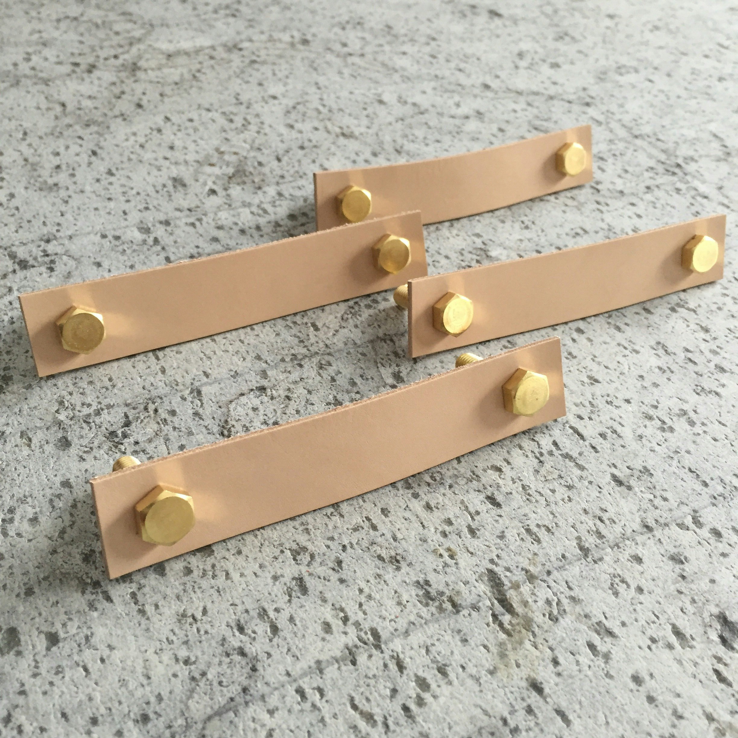 Leather & Brass Handles