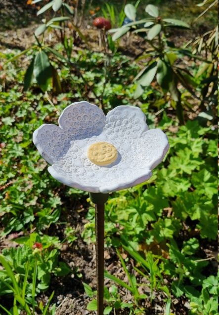 Bi-sak, vit blomma med gult