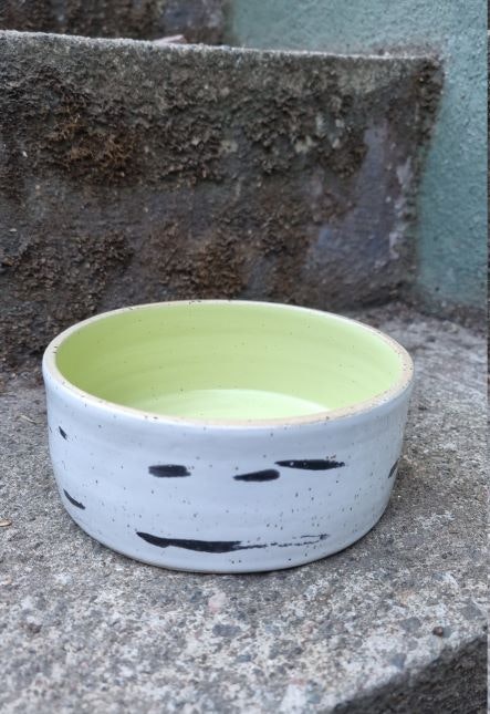 Vårbjörk, skål