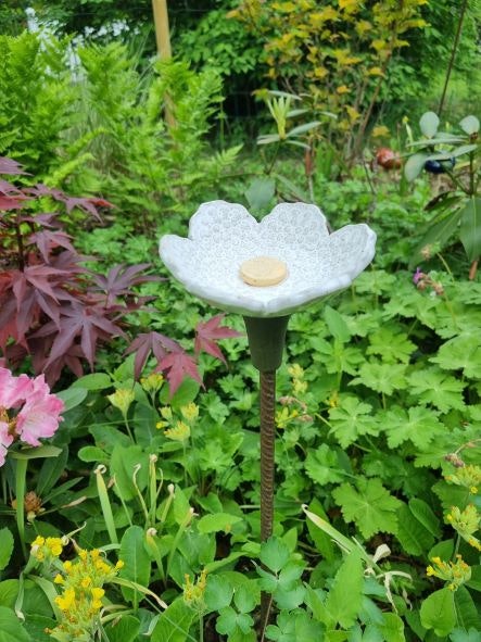 Bi-sak, vit blomma med gult