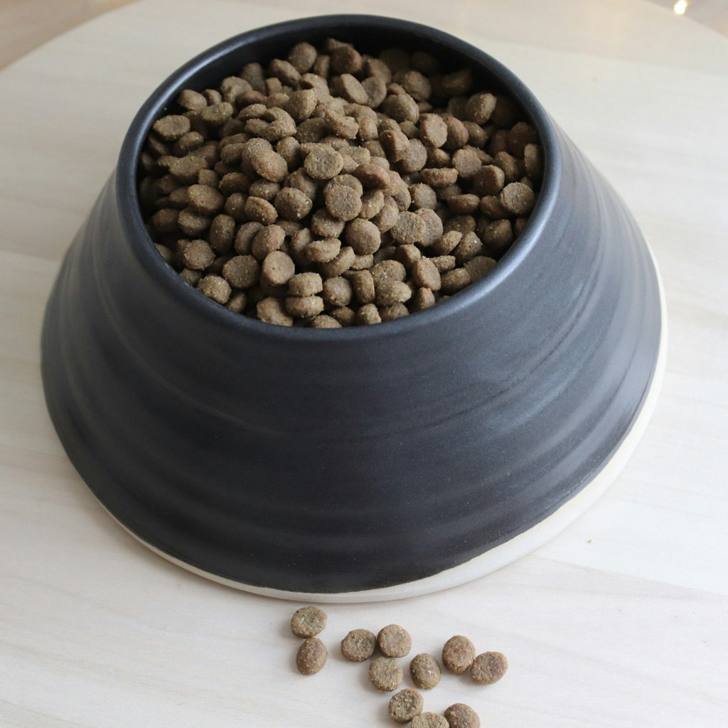 Hundmatskål