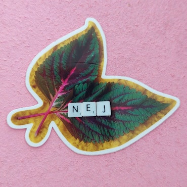 Klistermärke - NEJ (blad)