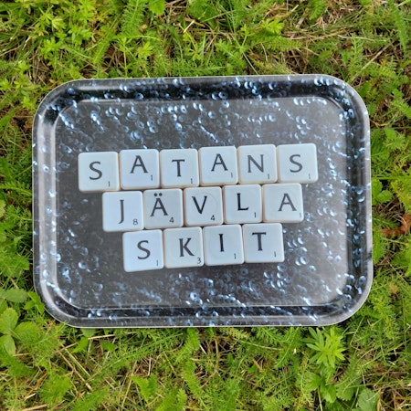 BRICKA - Satans jävla skit