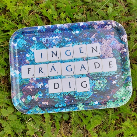 BRICKA - Ingen frågade dig