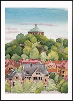 Risåsberget