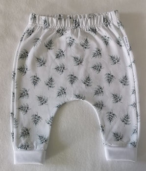 Baggybyxa fern