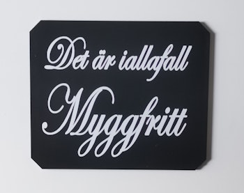 Det är iallafall myggfritt