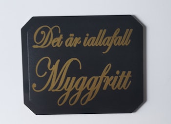 Det är iallafall myggfritt