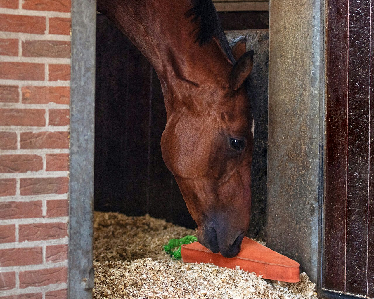 Horsetoy XL Carrot