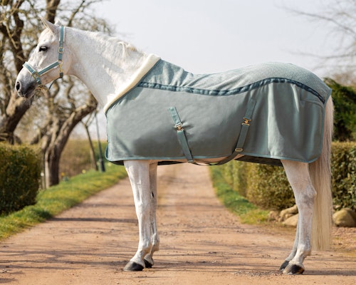 Equestrian Dream Brands of Q Softshell
