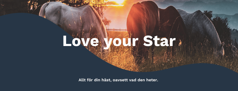 Loveyourhorse Sweden AB