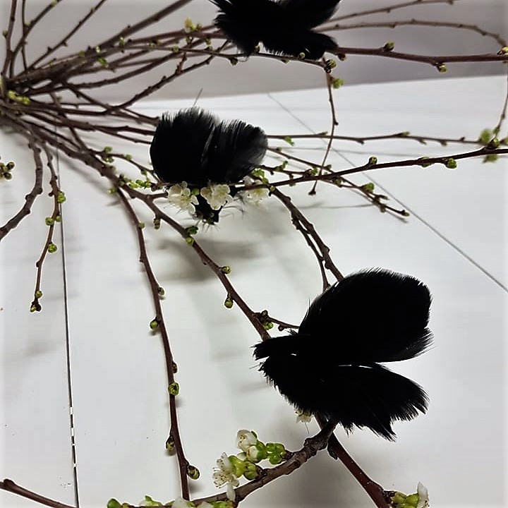 Fjäderblomma svart