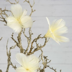 Fjäderblomma ljusgul