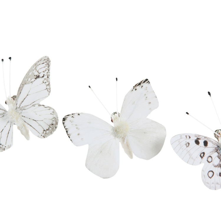 Fjärilar små vita