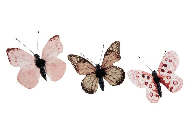 Fjärilar brun/rosa