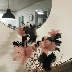 Fjäderblomma svart