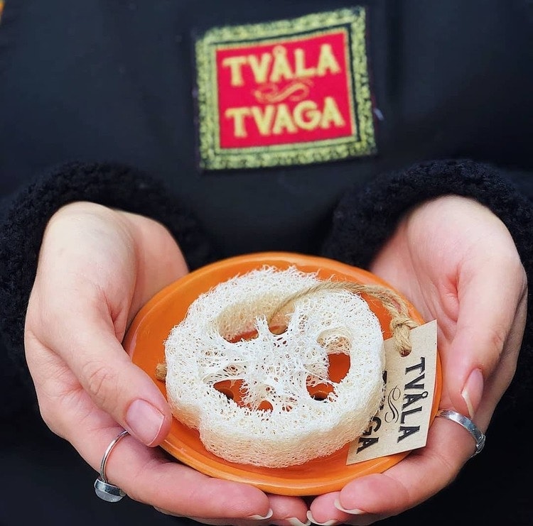 Tvålfat Loofahgurka