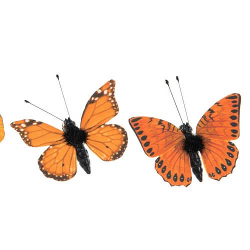 Fjärilar orange