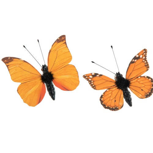 Fjärilar orange