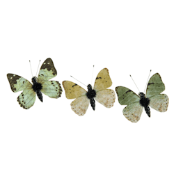 Fjärilar gröna 3-pack