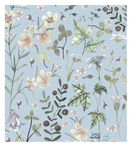 Disktrasa vilda blommor