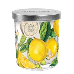 Doftljus Lemon Basil- MICHEL DESIGN WORKS