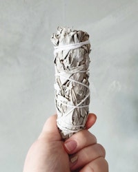Salviabunt,  vit salvia (hållbart odlad)