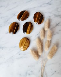 Tigeröga mini palmstone