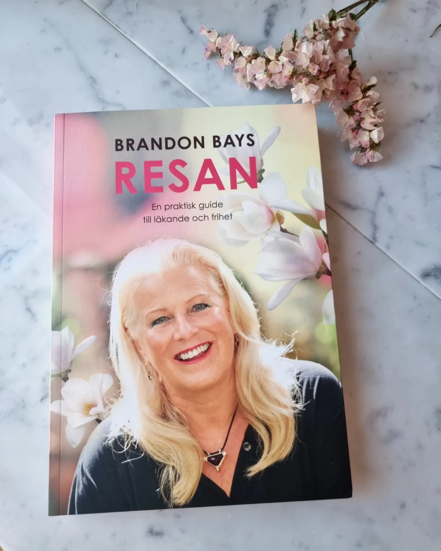 RESAN, En praktisk guide till läkande och frihet - Brandon Bays