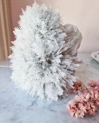 Scolecite, skolecit vitt nålkluster fr Indien 1861 gram nrB