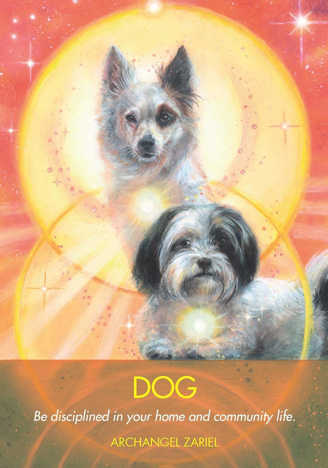 Archangel animal oracle cards - Diana Cooper