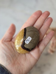 Septarian, palmstone/meditationssten (K)