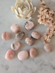 Rosa Opal | Trumlad