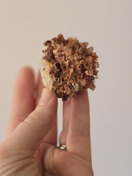 Creedite, durango Mexico, kluster nr 2A (sällsynt kvalité med fluorit)