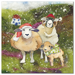 FELTED SHEEP CHRISTMAS (JULKORT)