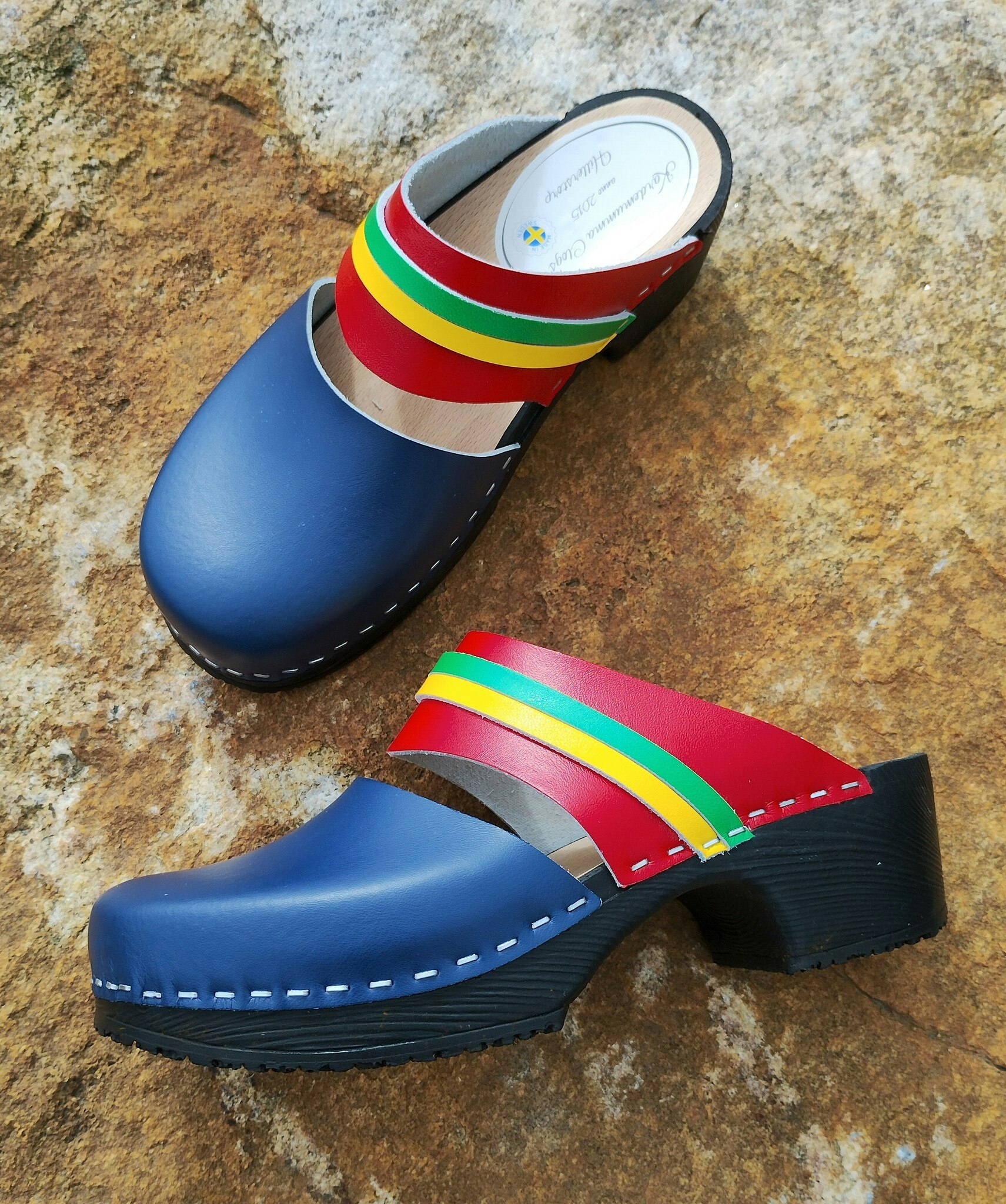 Ellen i de Samiska färgerna.            💙♥️💚💛